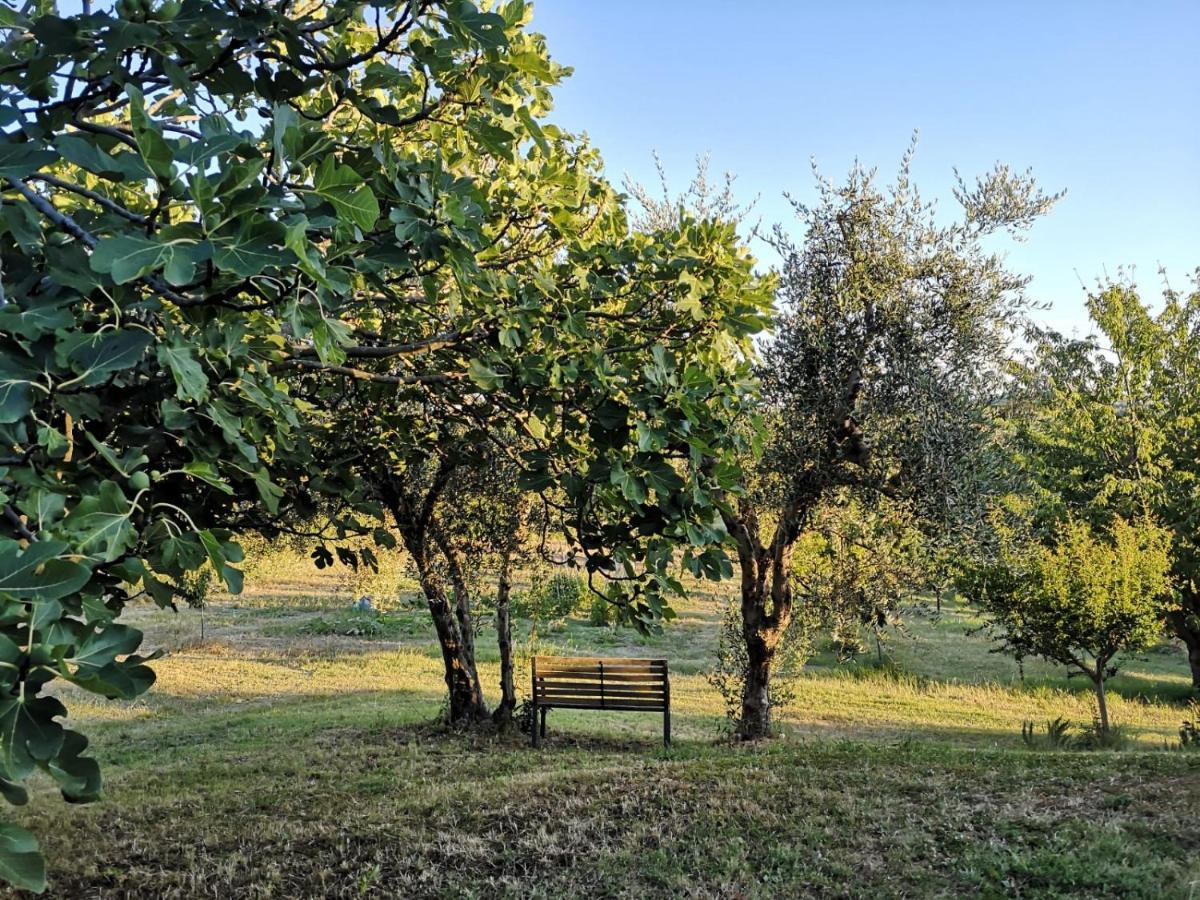 Agriturismo I Ciliegi Appartamento Ginestra Montignano Kültér fotó