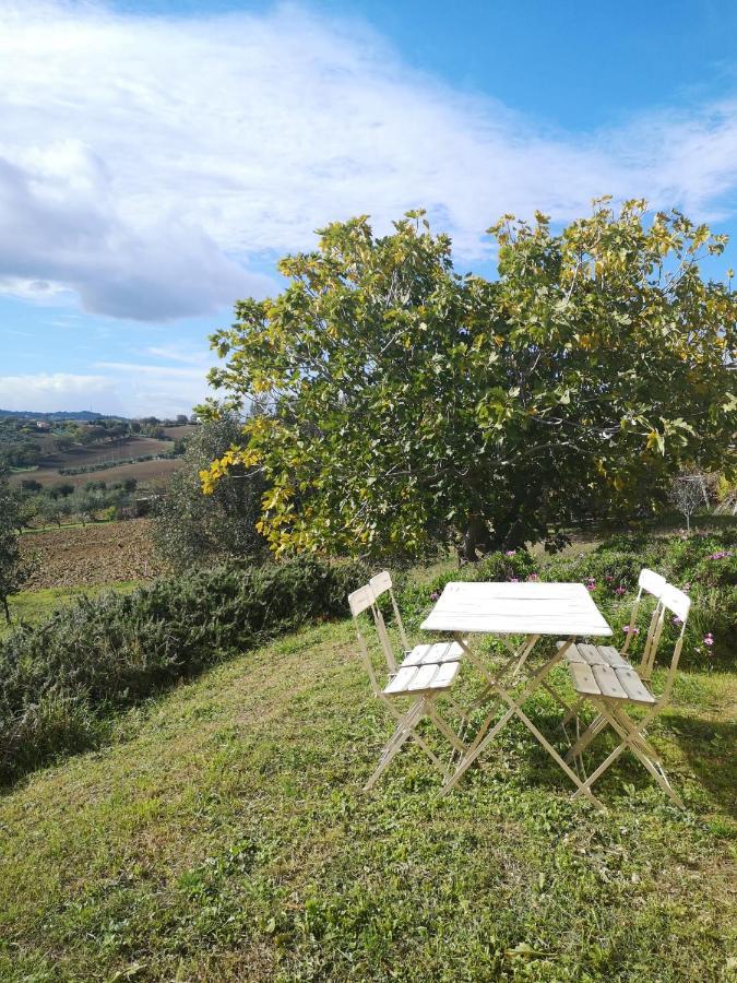 Agriturismo I Ciliegi Appartamento Ginestra Montignano Kültér fotó