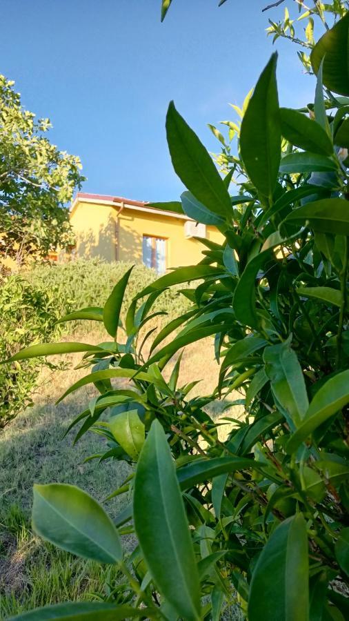 Agriturismo I Ciliegi Appartamento Ginestra Montignano Kültér fotó