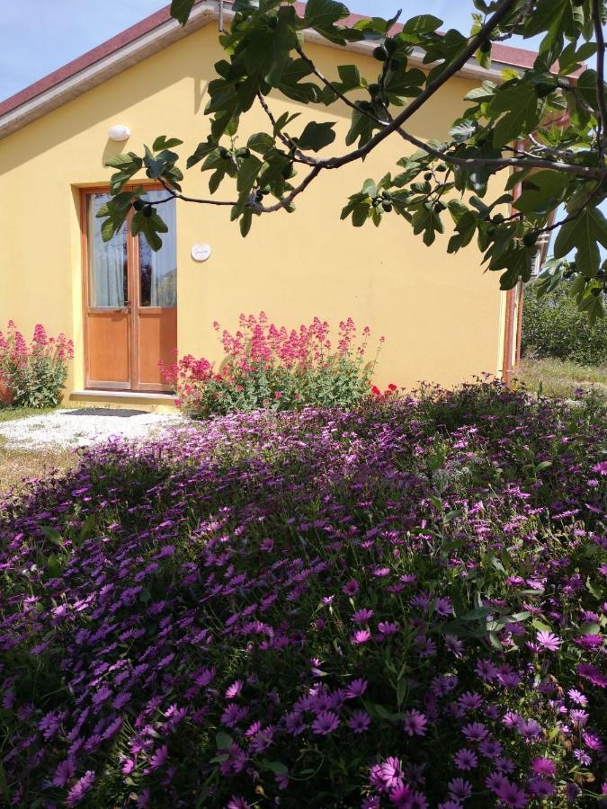 Agriturismo I Ciliegi Appartamento Ginestra Montignano Kültér fotó